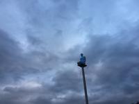Place Masséna am Abend.JPG
