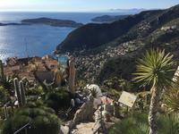 Jardin Exotique von Èze.JPG