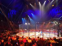 Martin Lacy mit 16 Löwinnen.JPG