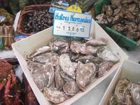 Frische Austern aus der Normandie, das Dutzend für 12 Euro
