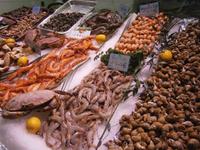 Meeresfrüchte in großer Zahl werden angeboten