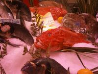 Dabei auch Fische, die man kaum kennt