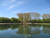 Versailles - Apollobrunnen