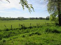 Versailles - anderer Blickwinkel