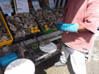 Austernessen in Cancale