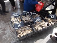 Austernessen in Cancale
