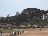 Rosa Granitküste bei Ploumanach