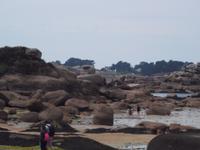 Rosa Granitküste bei Ploumanach