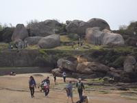 Rosa Granitküste bei Ploumanach