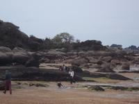 Rosa Granitküste bei Ploumanach