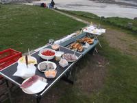 Picknick an der Bucht von Primelin
