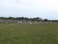 Steinreihen von Carnac