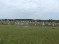 Steinreihen von Carnac