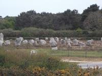 Steinreihen von Carnac