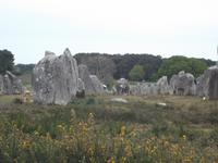 Alignement von Kermario bei Carnac