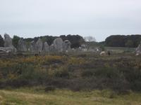 Alignement von Kermario bei Carnac
