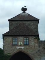 Weinstraße, Dambach-la-Ville