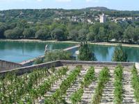 Avignon, Pont Bénézet