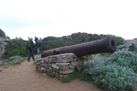 Kanone am Zöllnerpfad