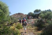 Wandrung in der Agriaten-Wüste