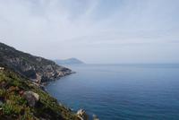 Wanderung um Calvi