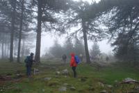 Wanderung am Col de Bavella