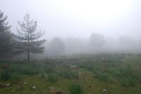 Wanderung bei Bavella