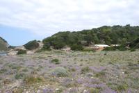 Anschlusswanderung bei Bonifacio