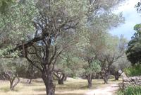 Abschlusswanderung bei Bonifacio