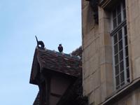 Fachwerkhäuser in Dijon, Detail