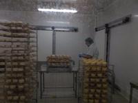 Käserei Gaugry - die Käse werden gewaschen