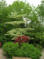 Cambremer Jardins du Pays d'Auge 