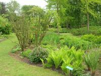 Chambremer Jardins du Pays d'Auge