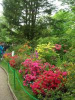Giverny Fondation Claude Monet Garten