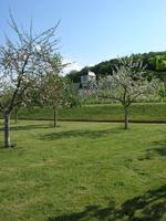 Abbaye Saint-Georges de Boscherville Klostergarten
