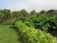 Vauville Jardin Botanique