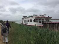 Ausflug in die Camargue