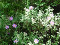 Stopp am Pass Heilige Lucia