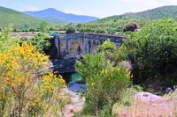 Altiani genues. Brücke