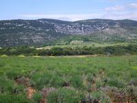 Landschaft im Gebiet der Ardeche