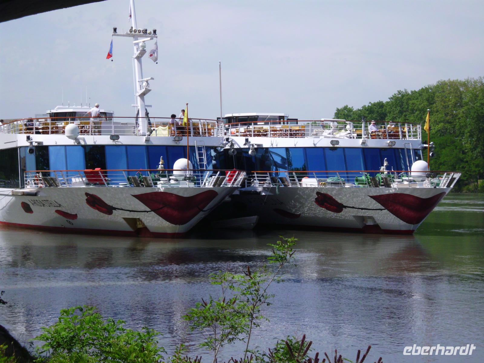 Luna und Stella - unzertrennlich