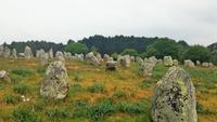 Menhir Felder von Carnac