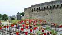Stadtmauer und Blumen-Park in Vannes