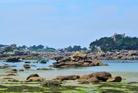 Felsenküste von Ploumanach