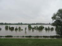 Loire mit etwas mehr Wasser