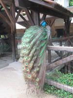 Schloss Clos Lucé - Garten