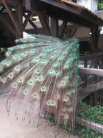 Schloss Clos Lucé - Garten