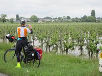 eine neue Sorte....Wassertrauben