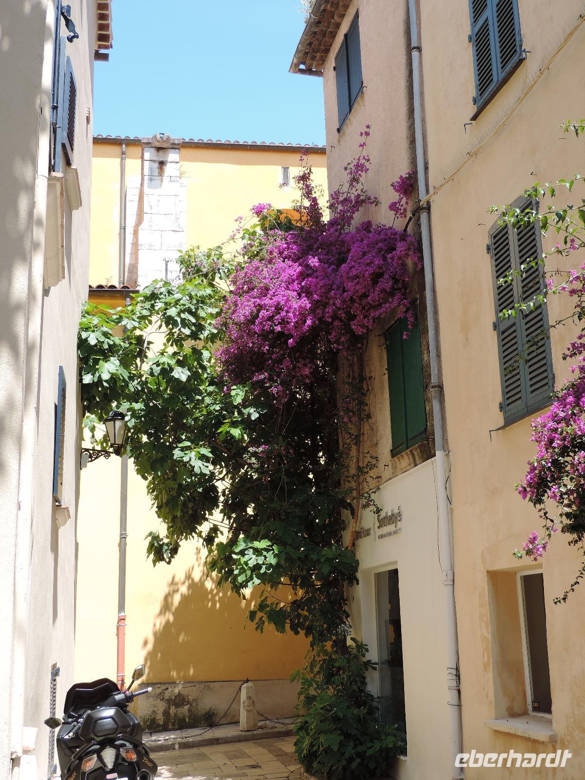 16 in den engen Gassen von St. Tropez