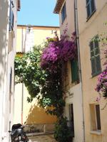 16 in den engen Gassen von St. Tropez